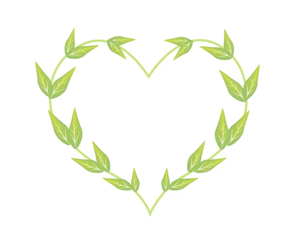 Fresh Green Leaves in A Lovely Heart Shape — Stockvector