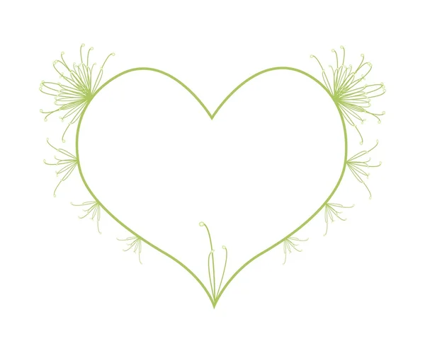 Fresh Cyperus Papyrus Flowers in Heart Shape — Stock vektor