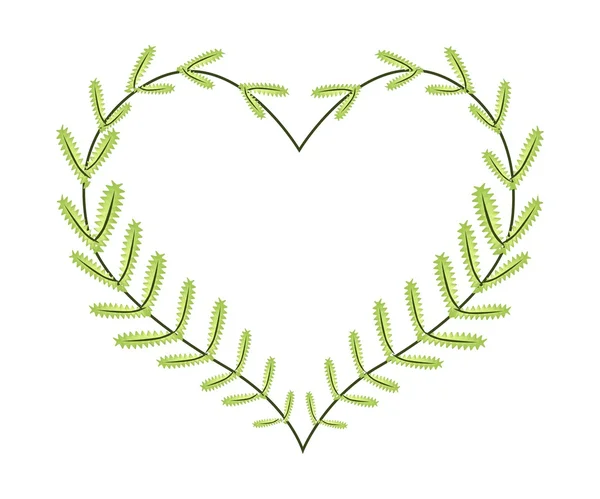 Lovely Green Fern Leaves in A Heart Shape — Stock Vector