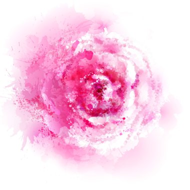 pembe Gül çiçeği. 
