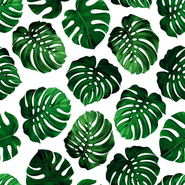 Seamless pattern of leaves monstera — Stock Vector