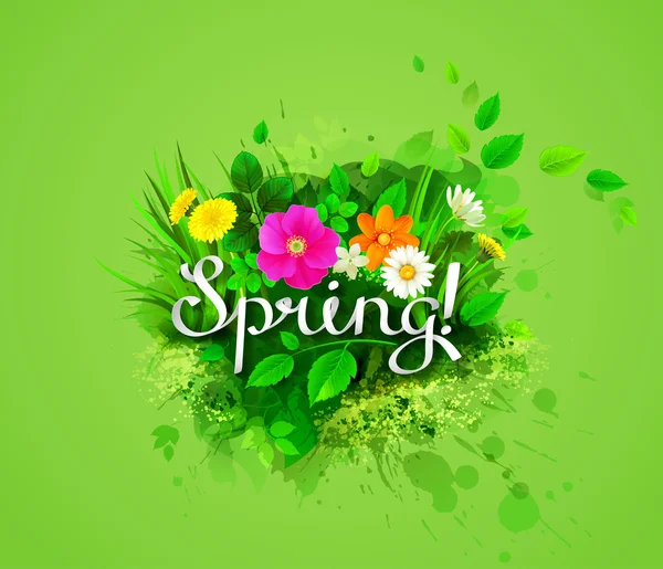 Composición de primavera con manzanillas florecientes — Archivo Imágenes Vectoriales