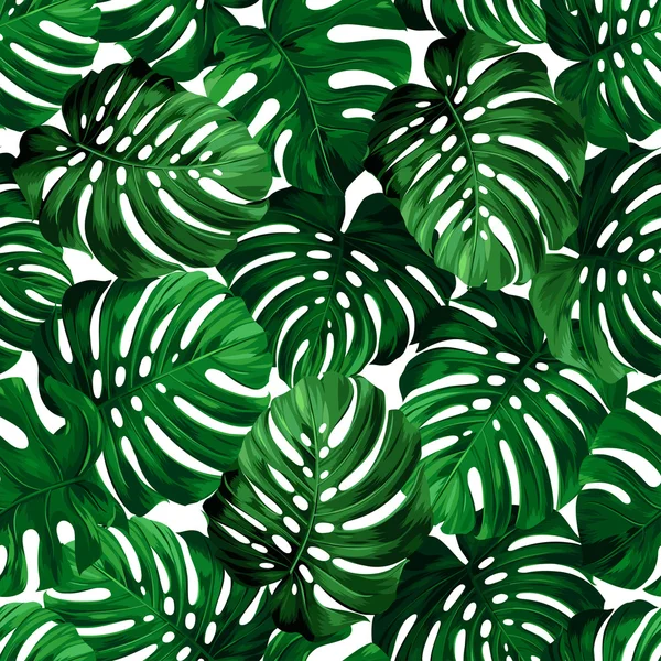 Seamless pattern of big leaves monstera. — Stock Vector