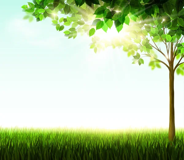 Saisonbaum mit grünen Blättern — Stockvektor