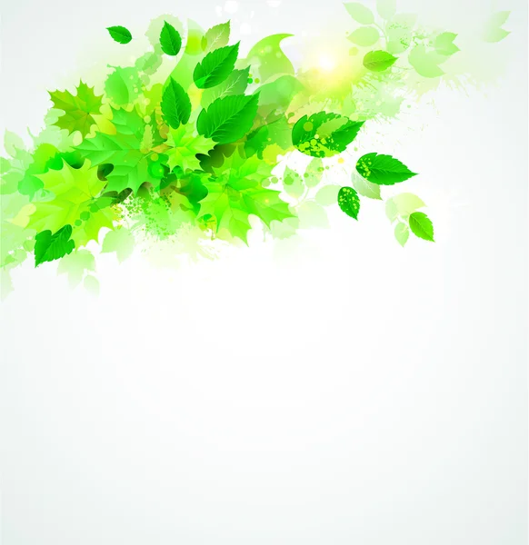 Yeşil yapraklar arkaplan — Stok Vektör