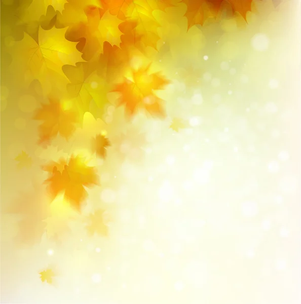 Composition avec feuilles d'érable — Image vectorielle