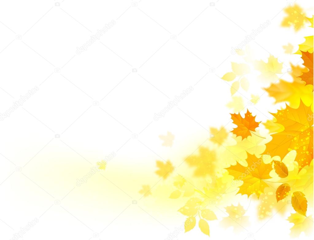 Autumn background maple leaves