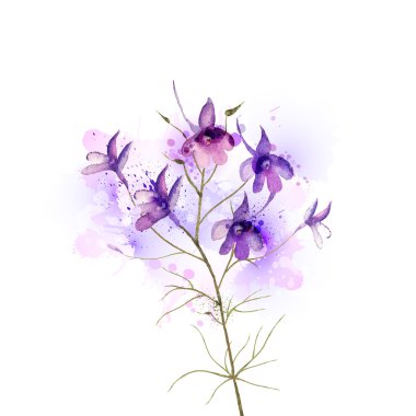 Inflorescence larkspur by watercolor clipart
