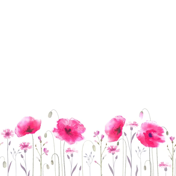 Цветущие цветы акварельного мака — стоковый вектор