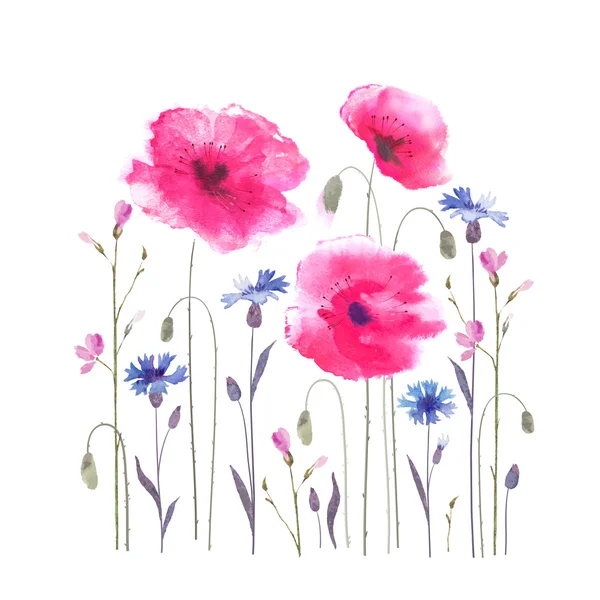 Aquarell Mohn blühende Blumen — Stockvektor