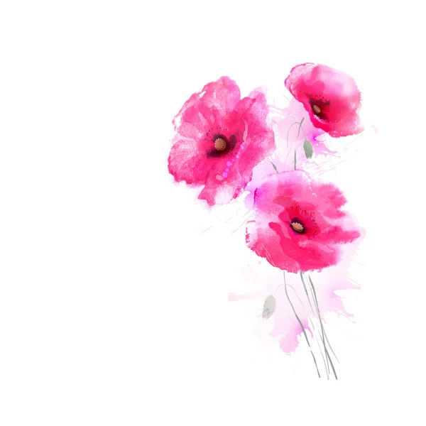 Aquarell Mohn blühende Blumen — Stockvektor