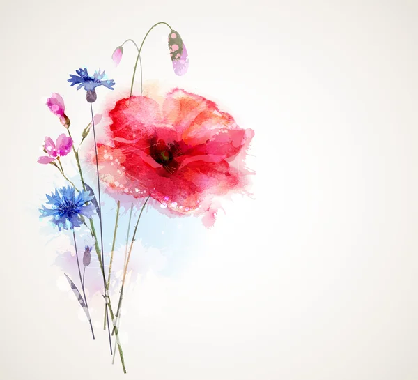 Fleur de pavot en fleurs — Image vectorielle
