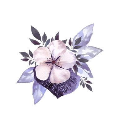 Küllü gri çiçek çiçeklenme