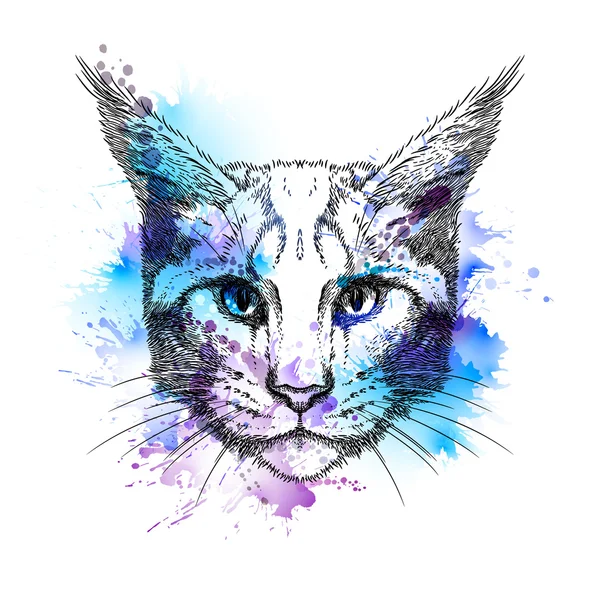 Cara de gato dibujada a mano con manchas — Vector de stock