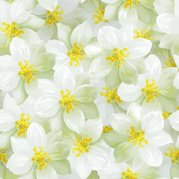 Seamless pattern of  jasmine flowers — Stock Vector