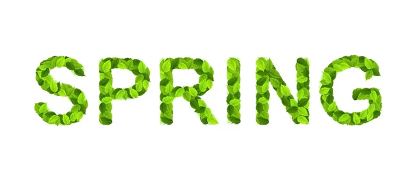 Wort "Frühling" mit grünen Blättern — Stockvektor