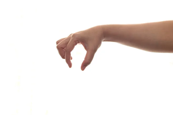 Hand Gesture Isolated White Empty Finger Picking Signs Concept Copy — Stock Photo, Image