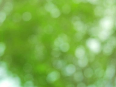 Bulanık yeşil ağaçlarla dolu güzel bir bokeh. Arkaplan için doğal odak dışı resim