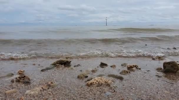 Çamurlu Kumsalda Sakin Okyanus Dalgaları Sakin Sahneler — Stok video