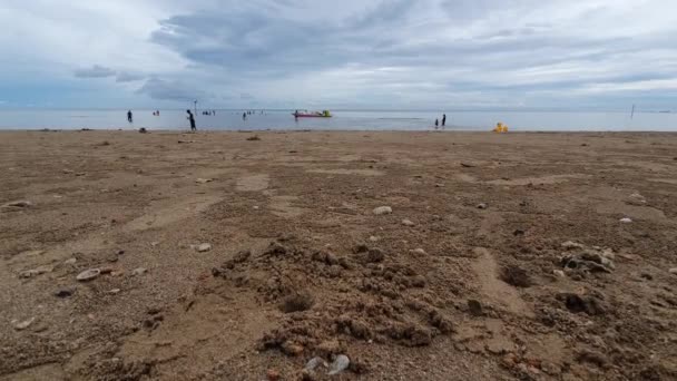 Enero 2021, Balikpapan Indonesia, playa de lamaru, la gente disfruta de olas del océano calma, destino turístico de viajes — Vídeos de Stock