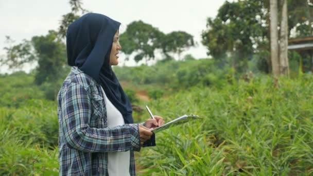 A sikeres ázsiai muszlim női farmer felügyeli a gyömbérnövények termesztését. biogazdálkodás — Stock videók