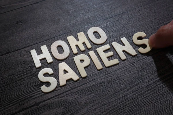 Homo Sapiens Text Words Typography Written Wood Letter Black Background — 스톡 사진
