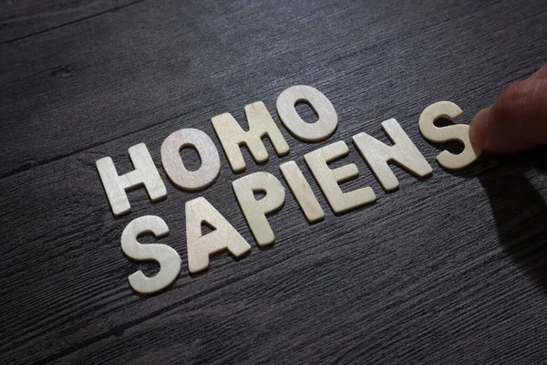 Homo Sapiens, tipografi siyah arkaplan, yaşam ve iş motivasyon kavramı üzerine ahşap harflerle yazılmış.
