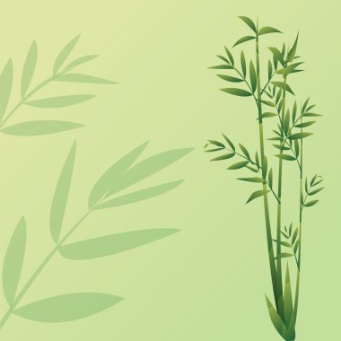 Bambu Arkaplanı