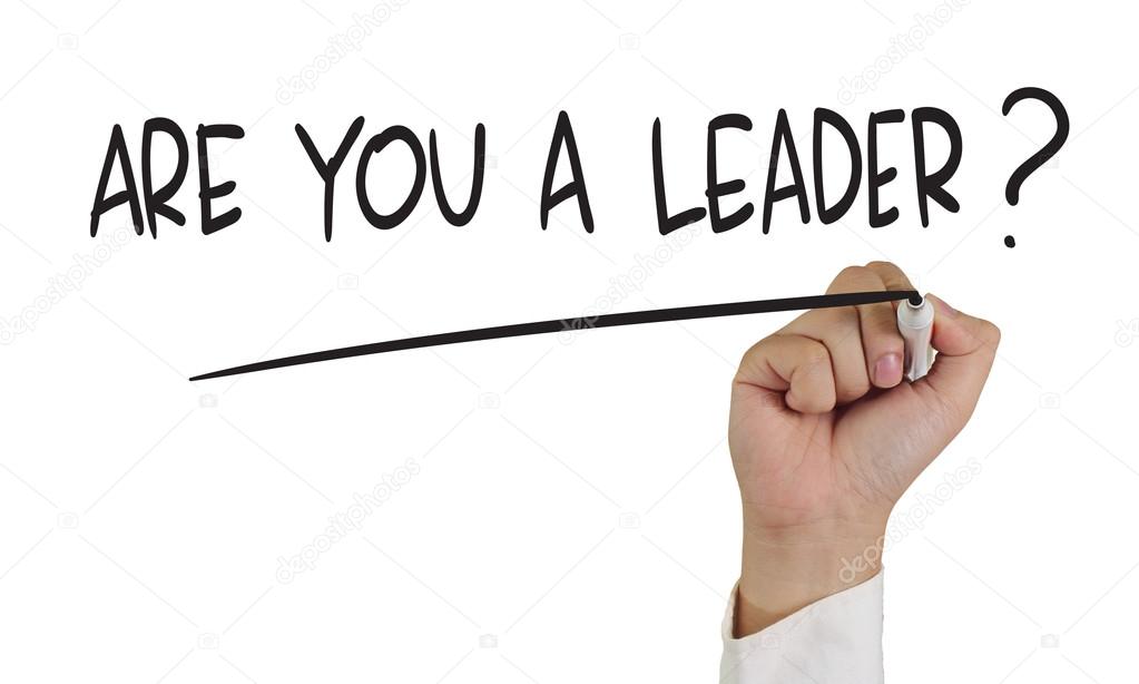Are You a Leader ?