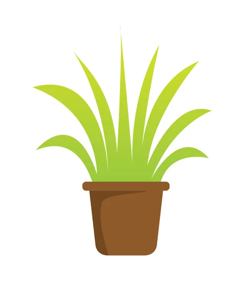 Plant in pot — Stockvector