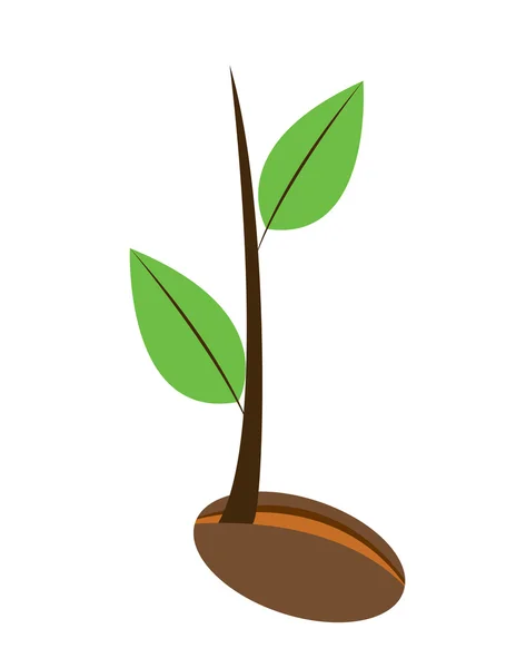 Fiatal növények — Stock Vector