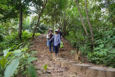 Asyalı Müslüman anne çocuklarıyla birlikte sabahın köründe yemyeşil bir parkta yürüyor. Mutlu bir aile açık hava aktivitesi yapıyor.