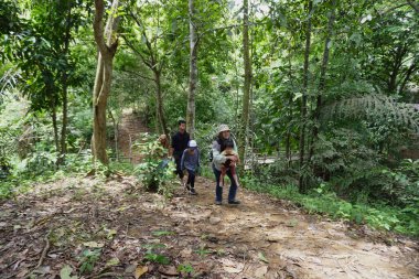 Asyalı Müslüman anne çocuklarıyla birlikte sabahın köründe yemyeşil bir parkta yürüyor. Mutlu bir aile açık hava aktivitesi yapıyor.