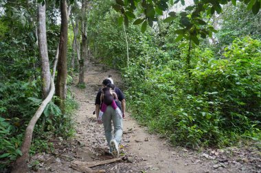 Çocuklar ilerlerken, bir çocuğun sırtında bir çocukla orman yolunda yürüyen bir aile. Sahnede açık hava maceraları, aile bağları ve verimli tropikal orman doğasıyla çevrili aktif bir yaşam tarzı var.