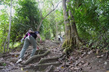 Çocuklar önlerinde yürürken, bir babayla birlikte bir orman yolunda yürüyen bir aile. Bereketli bir tropikal ormanda açık hava macerası ve aile bağları aktif bir yaşam tarzını, keşifleri ve doğadaki birlikteliği temsil eder.