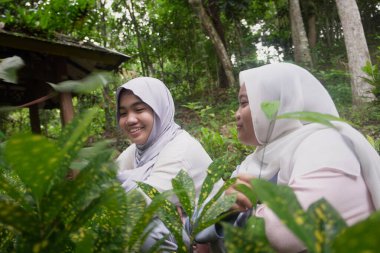 Mutlu Asyalı iki genç Müslüman kız, güneşli bir sabahta ormanda bitki ve ağaçları gözlemliyor, sohbet ediyor ve doğanın tadını çıkarıyorlar.