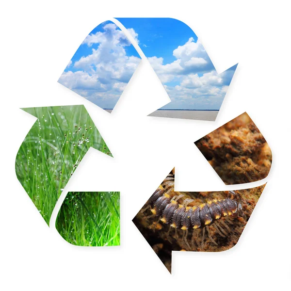 Recycling symbool met natuurfoto's in het — Stockfoto