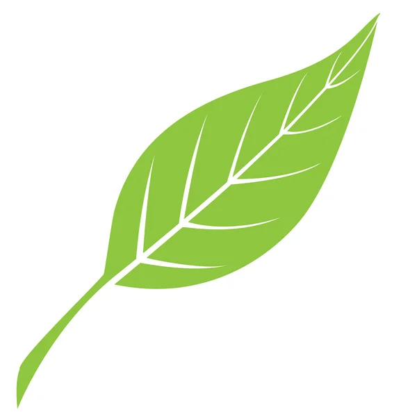 Silueta de hoja verde — Vector de stock