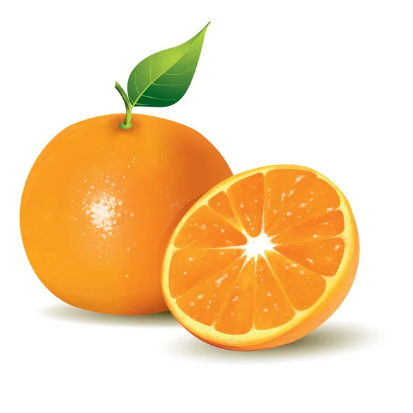 新鮮なオレンジ、全体、半身 — ストックベクタ