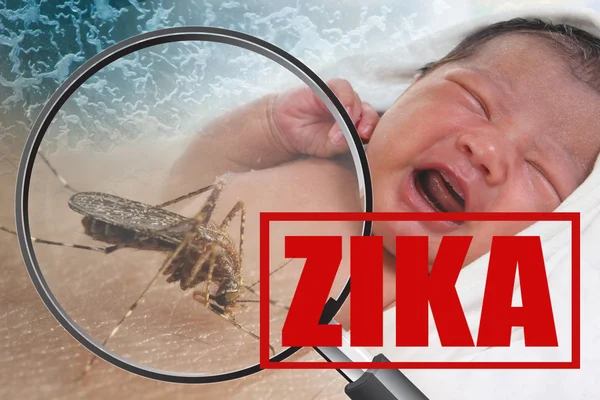 Zika Virus Epidemy — Stock fotografie