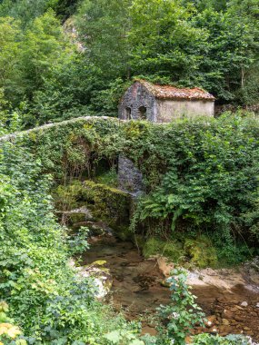 Nehir ve taş köprüsü olan küçük bir ev