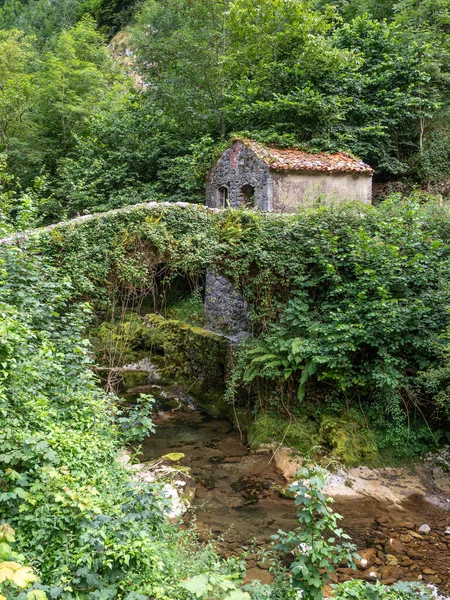 little house with river and stone bridge