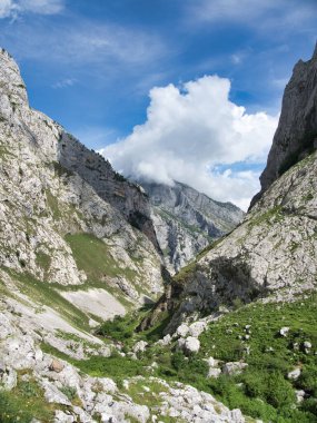 Madeira Deniz Yığını Üzerinde Altın Gün Batımı - Madeira 'daki Ilhus da Ribeira da Janela volkanik deniz yığınlarının gün batımında atmosferik manzarası, kayalık plaj ve Atlantik Okyanusu' nun üzerine düşen altın bir ışık.