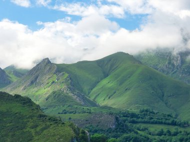 Madeira Deniz Yığını Üzerinde Altın Gün Batımı - Madeira 'daki Ilhus da Ribeira da Janela volkanik deniz yığınlarının gün batımında atmosferik manzarası, kayalık plaj ve Atlantik Okyanusu' nun üzerine düşen altın bir ışık.