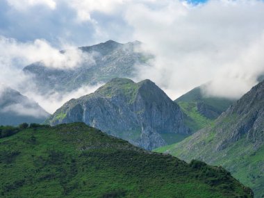 Madeira Deniz Yığını Üzerinde Altın Gün Batımı - Madeira 'daki Ilhus da Ribeira da Janela volkanik deniz yığınlarının gün batımında atmosferik manzarası, kayalık plaj ve Atlantik Okyanusu' nun üzerine düşen altın bir ışık.