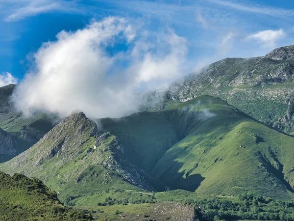 Yeşil dağ manzarası üzerinde bulut - Picos de Europa dağlarının görkemli manzarası yemyeşil yamaçlar ve mavi gökyüzüne karşı dramatik bulut oluşumu.