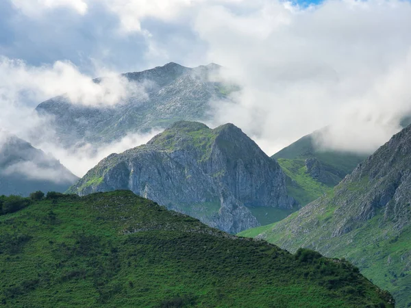 Madeira Deniz Yığını Üzerinde Altın Gün Batımı - Madeira 'daki Ilhus da Ribeira da Janela volkanik deniz yığınlarının gün batımında atmosferik manzarası, kayalık plaj ve Atlantik Okyanusu' nun üzerine düşen altın bir ışık.