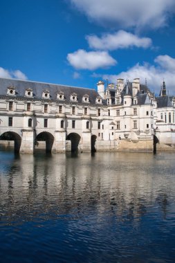 Castillo de Chenonceau Francia - 17 Temmuz 2025, Güzel Chteau de Chenonceau, 'Bayanlar Kalesi' olarak bilinen, ünlü Loire Valley 'de güneşli bir günde Cher Nehri' ni kaplayan.