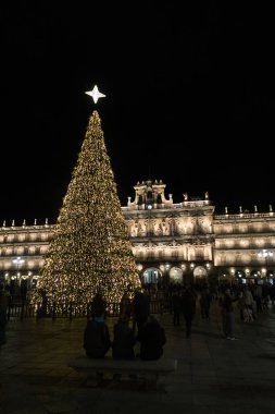 Salamanca Plaza Belediye Başkanı Geceleyin Noel Işıkları; Dev Noel ağacı, İspanya 'nın Salamanca kentinin tarihi Plaza Belediye Başkanı' nı aydınlatır..