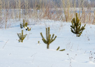 Doğa Altaya göz memnun eder.